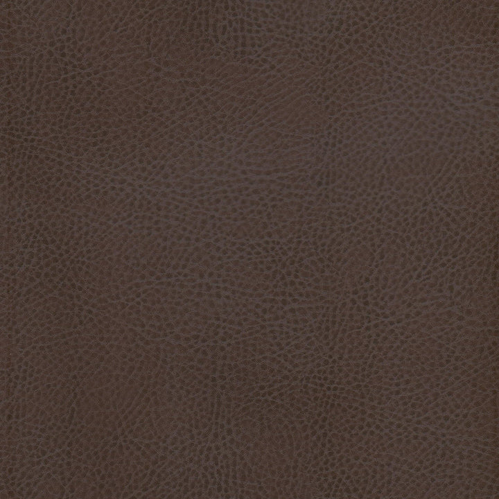 Odean 1 Java by Stout Fabric Stout Fabric Odean 1 JavaFabric LEATHER LOOKS V 100%POU 100%OTH CHINA </p><p>Repeat: H: 0.000, V: 0.000 54 in - Fabric Carolina -