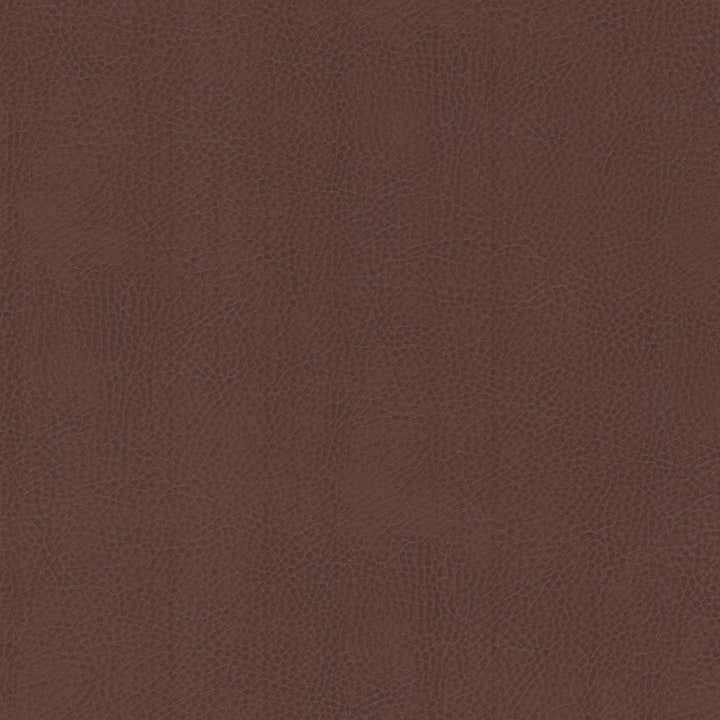 Odean 3 Rootbeer by Stout Designer Fabric LEATHER LOOKS V 100%POU 100%OTH CHINA FLAME RETARDANT-CA BULLETIN 117-CLASS 1 WYZENBEEK 15 000 DOUBLE RUB WEAR TEST (HEAVY DUTY) CATB 117-2013 Horizontal: 0.000 and Vertical: 0.000 54 in - Swanky Fabrics -