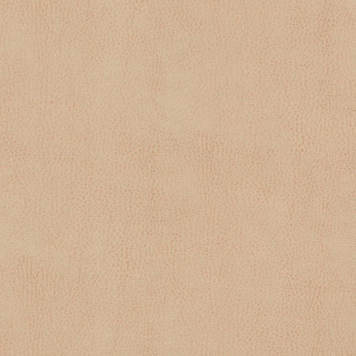 Odean 4 Sesame by Stout Designer Fabric LEATHER LOOKS V 100%POU 100%OTH CHINA Horizontal: 0.000 and Vertical: 0.000 54 in - Swanky Fabrics -