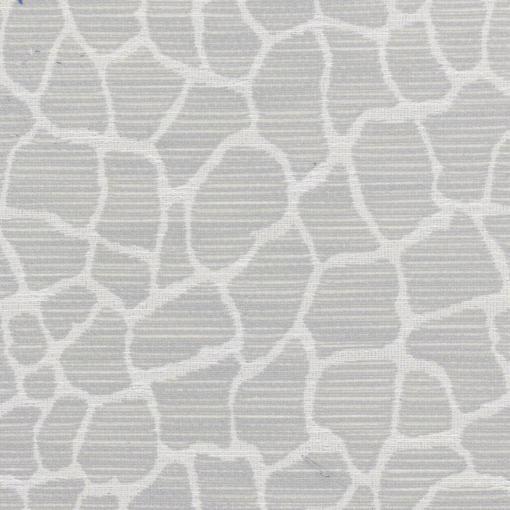 Odyssey 2 Dove by Stout Fabric Stout Fabric Odyssey 2 DoveFabric NO LIMITS 100%POL USA </p><p>Repeat: H: 6.750, V: 8.500 54 in - Fabric Carolina -