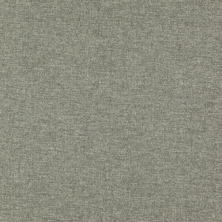 OFFICER 65J7351 by JF Designer Fabric Winning Weaves VI - Woven Book 100% Polyester India  Horizontal:  and Vertical:  57  - Swanky Fabrics -
