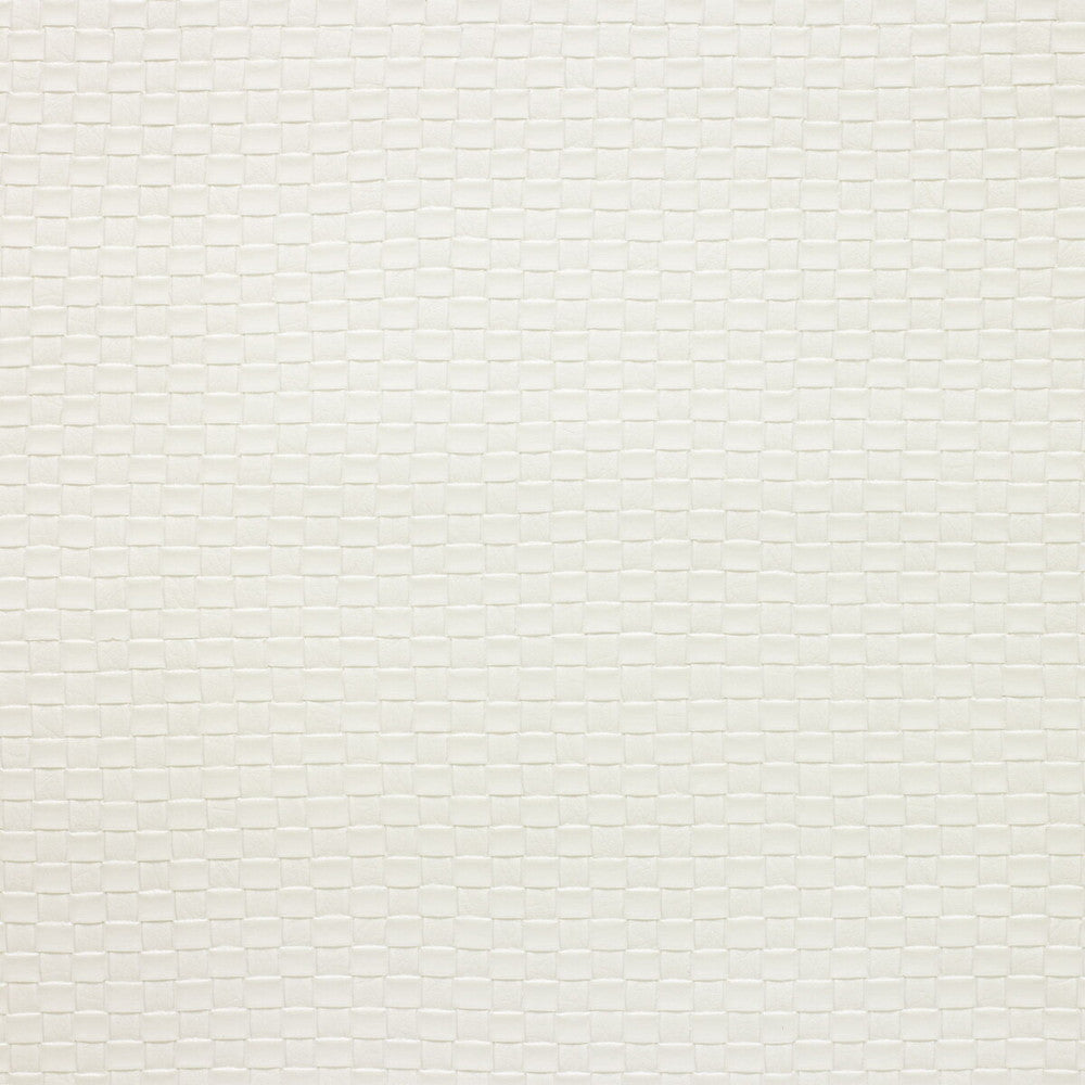 Olia-101 by Kravet Design Designer Fabric POLY VINYL CHLORIDE - 75%;POLYESTER - 16%;COTTON - 9% Korea, Republic of HEAVY Horizontal: 1 and Vertical: 1 54 - Swanky Fabrics -