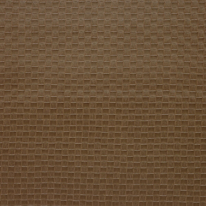 Olia-1616 by Kravet Design Designer Fabric POLYVINYL CHLORIDE - 70%;POLYESTER - 16%;COTTON - 9%;POLYURETHANE - 5% Korea, Republic of HEAVY Horizontal: 1 and Vertical: 1 54 - Swanky Fabrics -