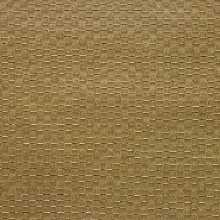 Olia-16 by Kravet Design Designer Fabric - POLY VINYL CHLORIDE - 75%;POLYESTER - 16%;COTTON - 9% Korea, Republic of HEAVY Horizontal: 1 and Vertical: 1 54 - Swanky Fabrics -