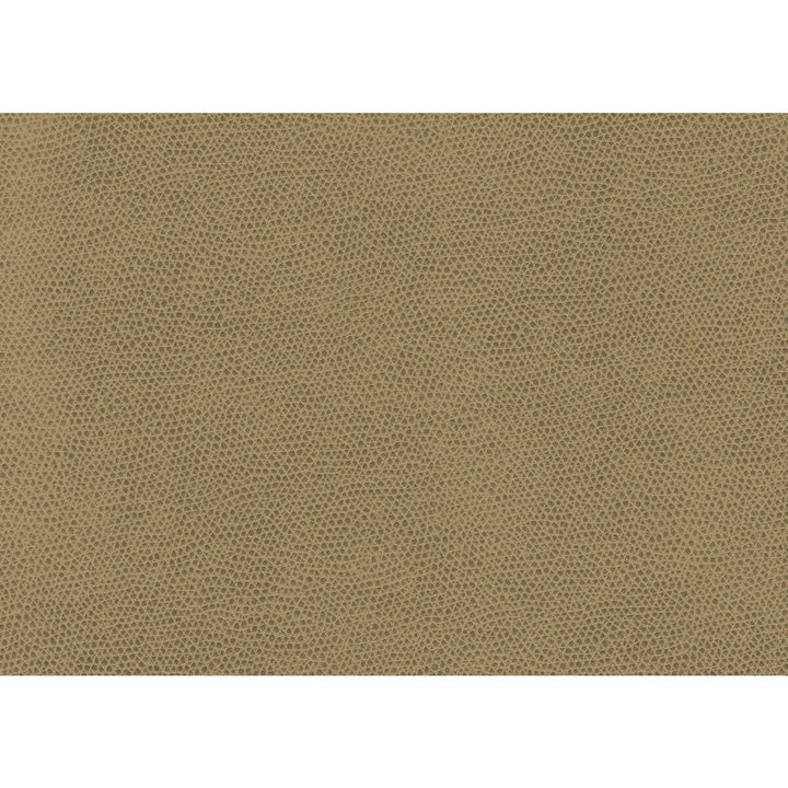 Ophidian Wheat by Kravet Contract Fabric Kravet Contract Fabric Ophidian WheatFabric CONTRACT STA-KLEEN POLYURETHANE - 100% China </p><p>Repeat: H: , V: 54 - Fabric Carolina -
