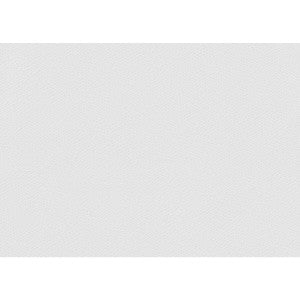 Kravet Fabric Ophidian Marshmallow