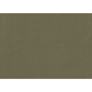 Kravet Fabric Ophidian Sage