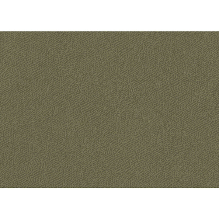 Ophidian Sage by Kravet Contract Designer Fabric CONTRACT STA-KLEEN POLYURETHANE - 100% China HEAVY Horizontal: and Vertical: 54 - Swanky Fabrics -