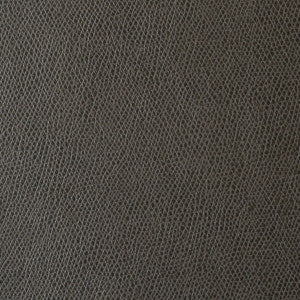 Kravet Fabric Ophidian Charcoal