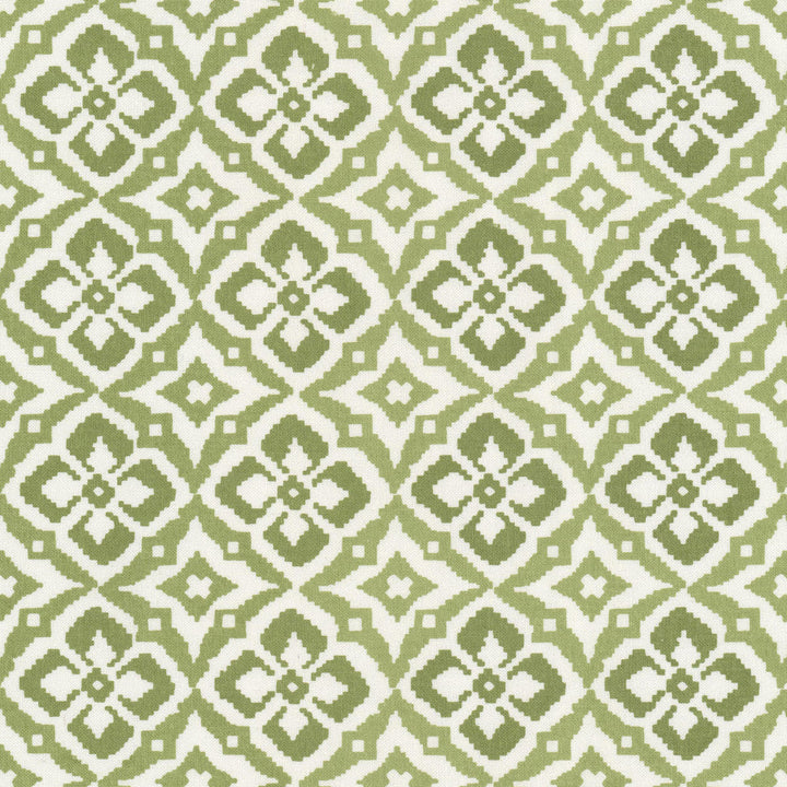 Ornament 2 Celadon by Stout Designer Fabric RAINBOW LIBRARY SAGE/CYPRESS 100%COT INDIA Horizontal: 3.000 and Vertical: 3.000 59 in - Swanky Fabrics -