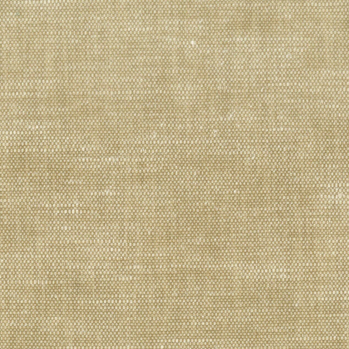 Orwin 5 Toast by Stout Designer Fabric A LA MODE 71%POL 29%COT INDIA Horizontal: 0 and Vertical: 0 54 in - Swanky Fabrics -