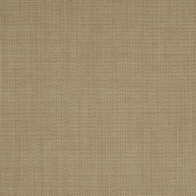 OSCAR 31J4961 by JF Designer Fabric OSCAR 94% Polyester, 6% Cotton CHINA ABRASIO (HEAVY DUTY- 30,000+ DOUBLE RUBS) Horizontal: N/A and Vertical: N/A 57.00 - Swanky Fabrics -