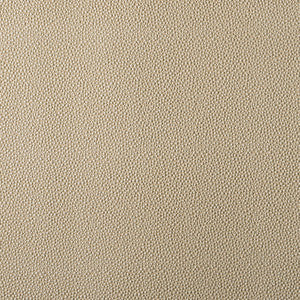 JF Fabric Outlaw 93J9591
