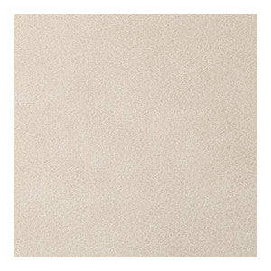 Kravet Fabric Overlook Desert OVERLOOK.16.0