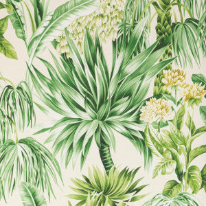 Lee Jofa Wallpaper Caluya Paper Palm