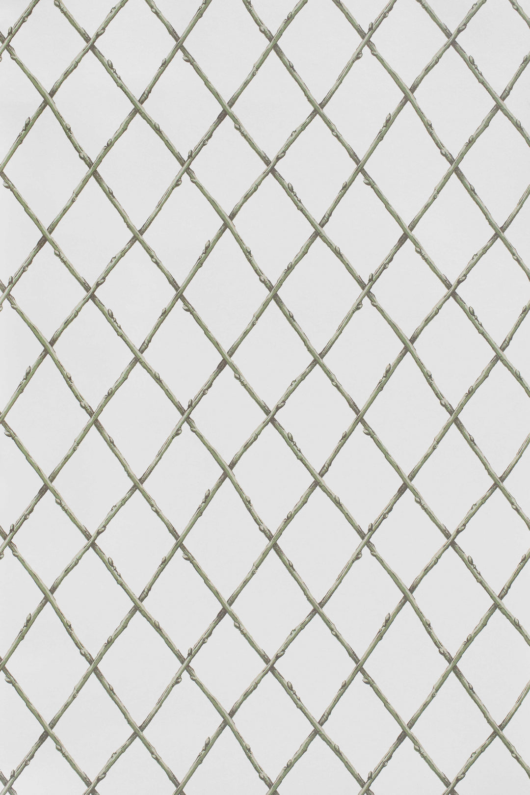 Lee Jofa Wallcovering Green