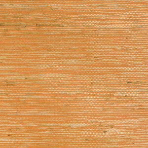 Brunschwig & Fils Wallpaper Kochi Rust