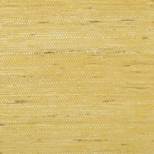 Brunschwig & Fils Wallpaper Kochi Gold