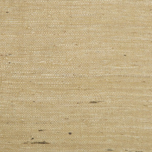 Brunschwig & Fils Wallpaper Kochi Tan