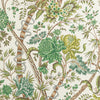 Brunschwig & Fils Wallpaper Luberon Green/Leaf