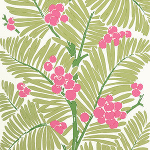 Brunschwig & Fils Wallpaper Palmar Spring P8022108.73.0