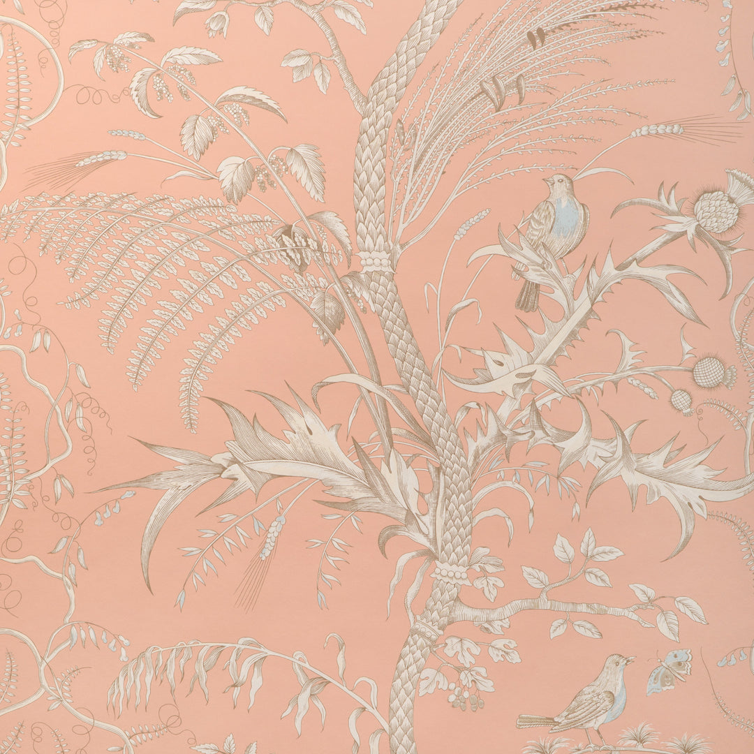 Brunschwig & Fils Wallcovering Peach