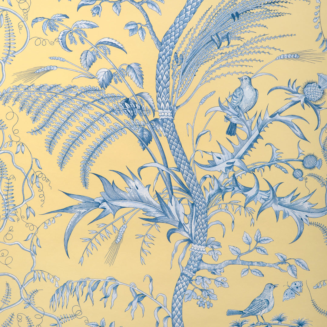 Brunschwig & Fils Wallcovering Sun