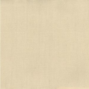 Pablo Canvas 106 by Norbar Designer Fabric PABLO 100% COTTON TURKMANISTAN 54" - Swanky Fabrics -