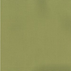 Pablo Pear 288 by Norbar Designer Fabric PABLO 100% COTTON TURKMANISTAN 54" - Swanky Fabrics -