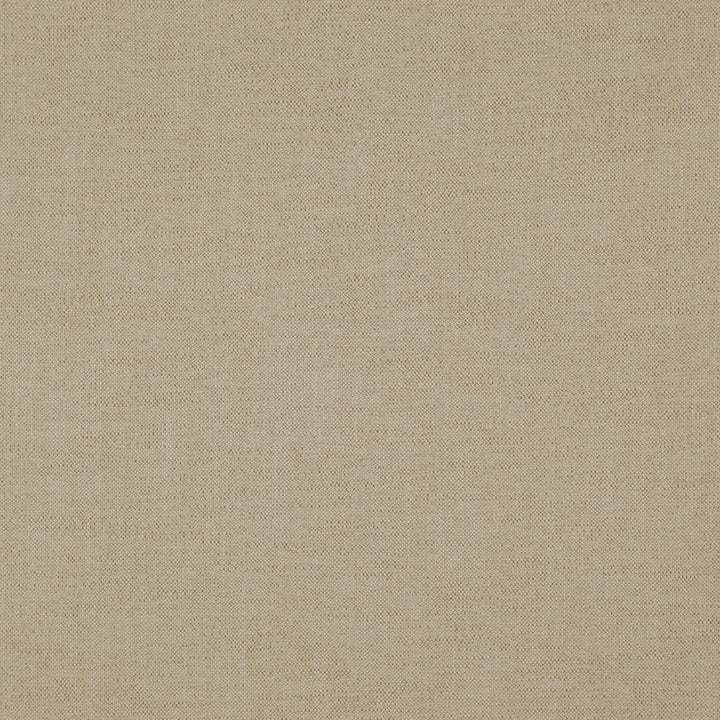 Pablo 34J7521 by JF Designer Fabric Pablo Book 65% Viscose, 22% Cotton, 13% Linen India 30000 Horizontal: and Vertical: 54 - Swanky Fabrics -