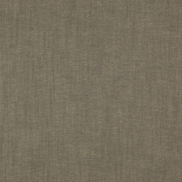 Pablo 39J7521 by JF Designer Fabric Pablo Book 65% Viscose, 22% Cotton, 13% Linen India 30000 Horizontal: and Vertical: 54 - Swanky Fabrics -