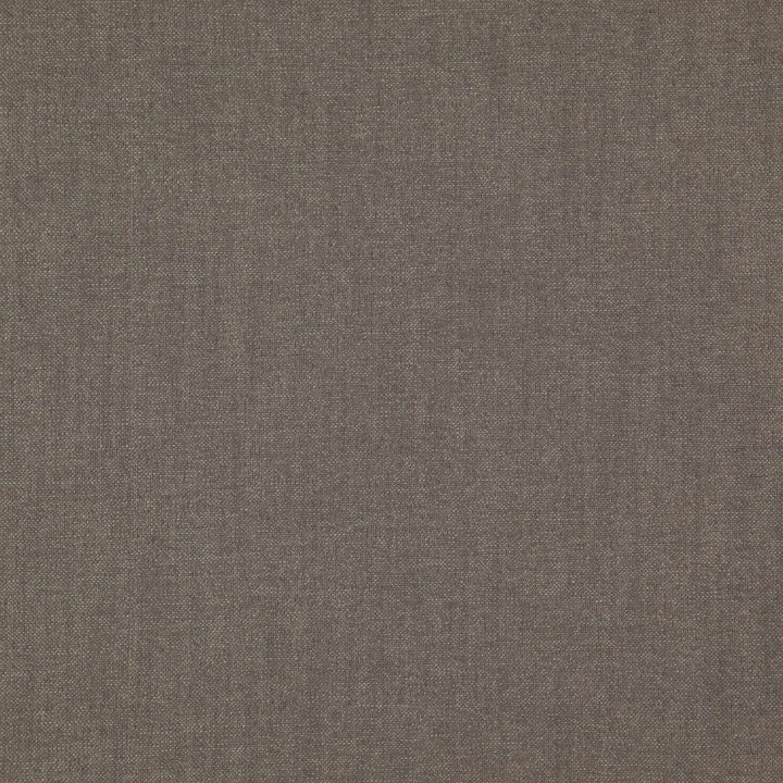 Pablo 97J7521 by JF Designer Fabric Pablo Book 65% Viscose, 22% Cotton, 13% Linen India 30000 Horizontal: and Vertical: 54 - Swanky Fabrics -