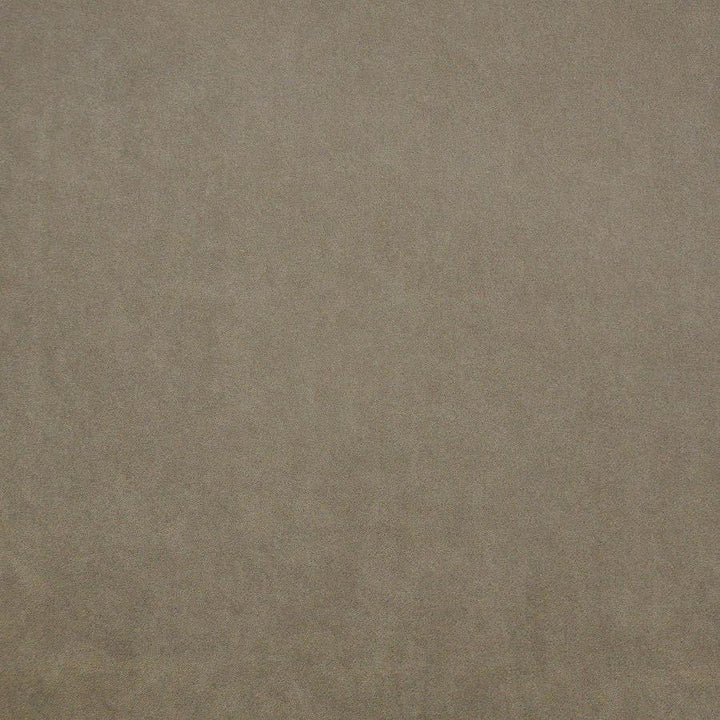 Palermo # 405 Sand by Maxwell Designer Fabric Home & Garden-Act Vii 76% RECYLCED POLYESTER/24% POLYESTER (PILE: 100% SOLUTION-DYED RECYCLED POLYESTER) TURKEY 55" - Swanky Fabrics -