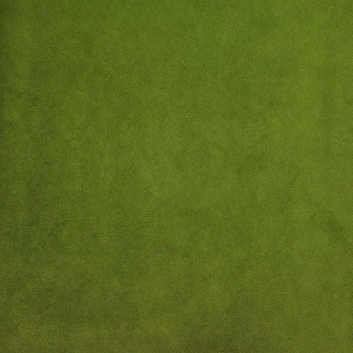Palermo # 419 Lime by Maxwell Designer Fabric Home & Garden-Act Vii 76% RECYLCED POLYESTER/24% POLYESTER (PILE: 100% SOLUTION-DYED RECYCLED POLYESTER) TURKEY 55" - Swanky Fabrics -