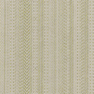 Stout Fabric Paine 1 Seedling