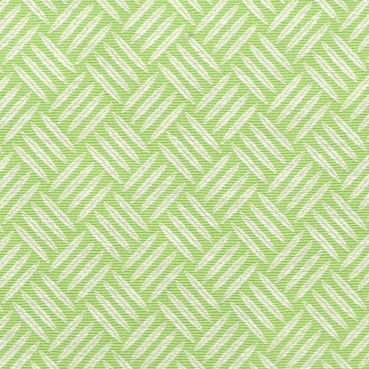 Panama 1 Dill by Stout Designer Fabric RAINBOW LIBRARY GRAPE/PEAR 55%COT 45%POL TAIWAN WYZENBEEK 50 000 DOUBLE RUB WEAR TEST (HEAVY DUTY) </p><p>Repeat: 1.25 54 in - Swanky Fabrics -