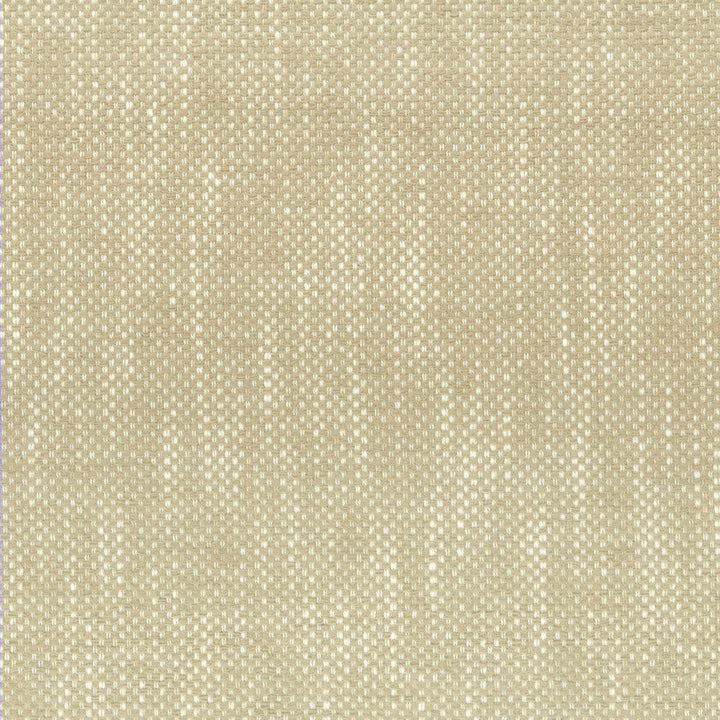 Panic 1 Champagne by Stout Designer Fabric LIVING IS EASY SALT/SANDSTONE 100%UV USA PERFORMANCE RATED FABRIC FLAME RETARDANT-U.F.A.C. CLASS 1 CATB 117-2013 WYZENBEEK 51 000 DOUBLE RUB WEAR TEST (HEAVY DUTY) </p><p>Repeat: 0.125 56 in - Swanky Fabrics -