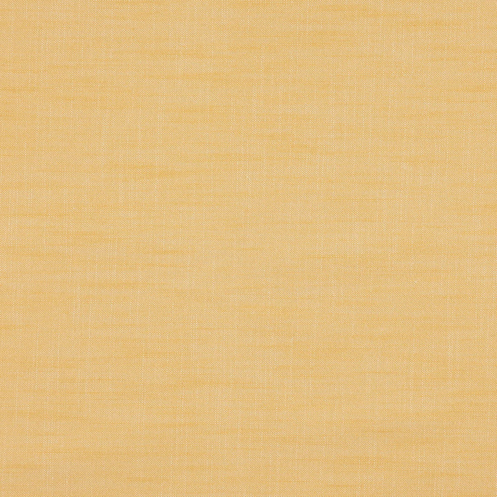 Paparazzi 16J7301 by JF Designer Fabric Winning Windows II -Wide Width Dim,Blackout Book 52% Cotton, 48% Polyester India 50000 Horizontal: and Vertical: 118 - Swanky Fabrics -