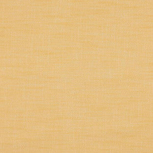 JF Fabric Paparazzi 16J7301