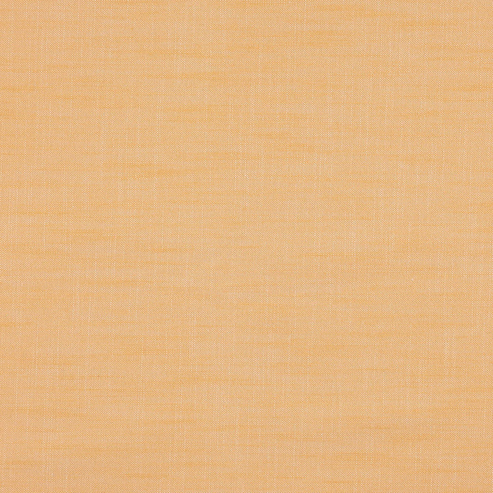 PAPARAZZI 19J7301 by JF Designer Fabric Winning Windows II -Wide Width Dim,Blackout Book 52% Cotton, 48% Polyester India  Horizontal:  and Vertical:  118  - Swanky Fabrics -