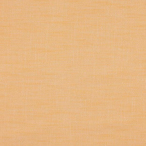 JF Fabric Paparazzi 19J7301