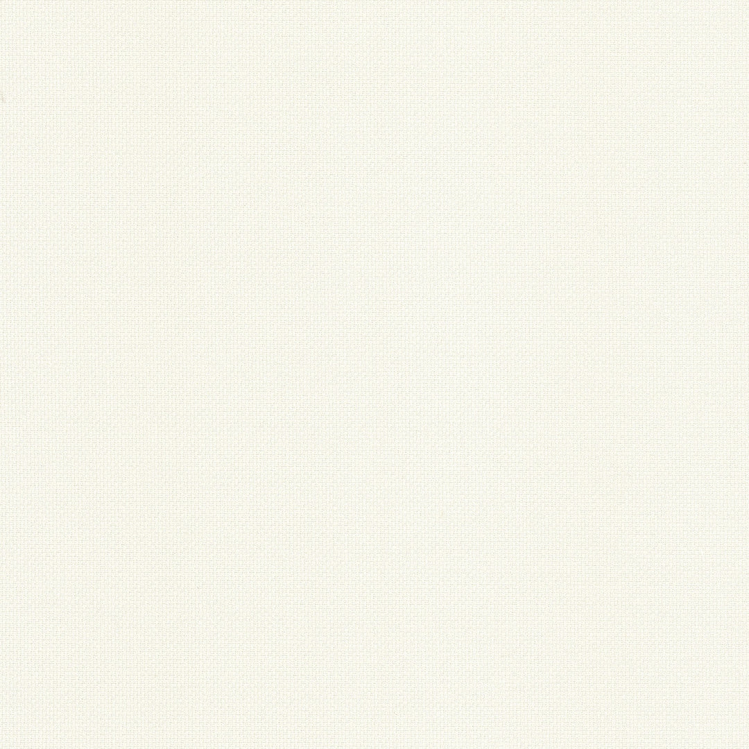 Pasteur 1 Salt by Stout Designer Fabric