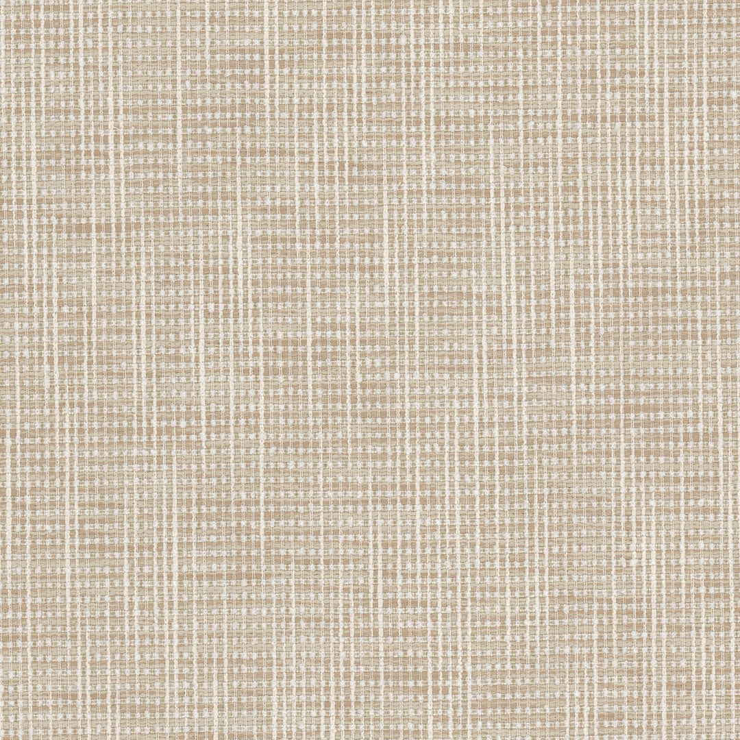 Patou 1 Shell by Stout Designer Fabric