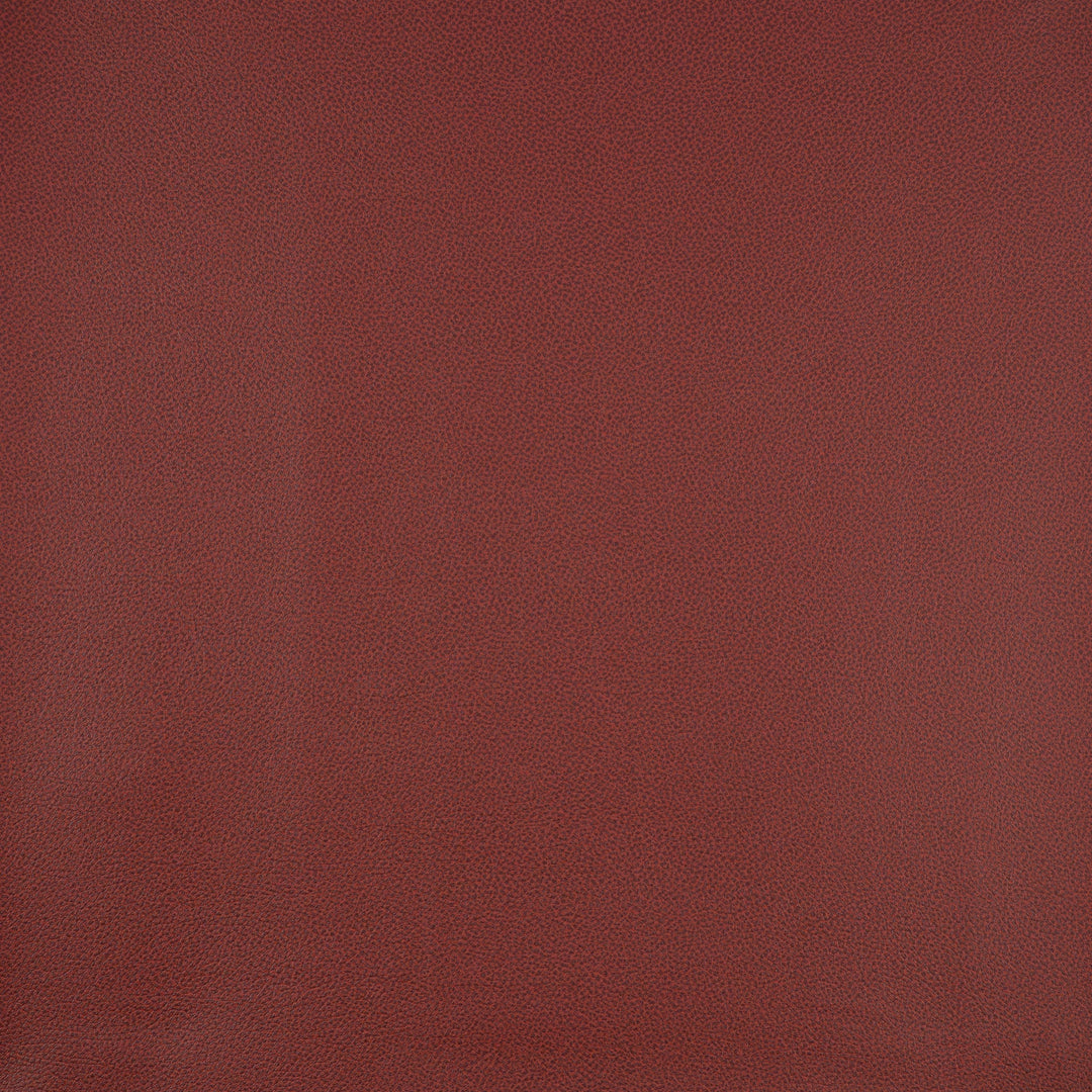 Pommel # 810 Carmine by Maxwell Designer Fabric Easy Rider Ix FACE:100% PVC BACKING:100% POLYESTER TURKEY 54" - Swanky Fabrics -