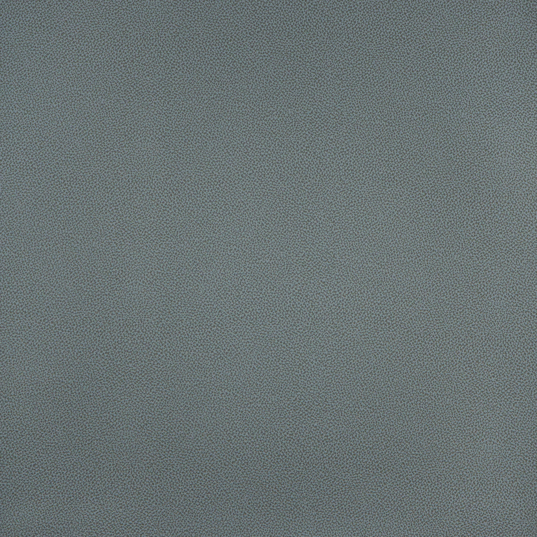 Pommel # 849 Tempest by Maxwell Designer Fabric Easy Rider Ix FACE:100% PVC BACKING:100% POLYESTER TURKEY 54" - Swanky Fabrics -