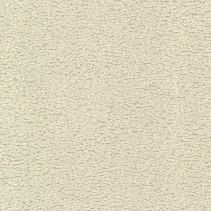 Pelage 1 Ivory by Stout Designer Fabric RAINBOW LIBRARY EGGSHELL/SANDSTONE 100%POL CHINA Horizontal: 0.000 and Vertical: 0.000 54 in - Swanky Fabrics -