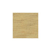Baker Lifestyle Fabric Satara Camel