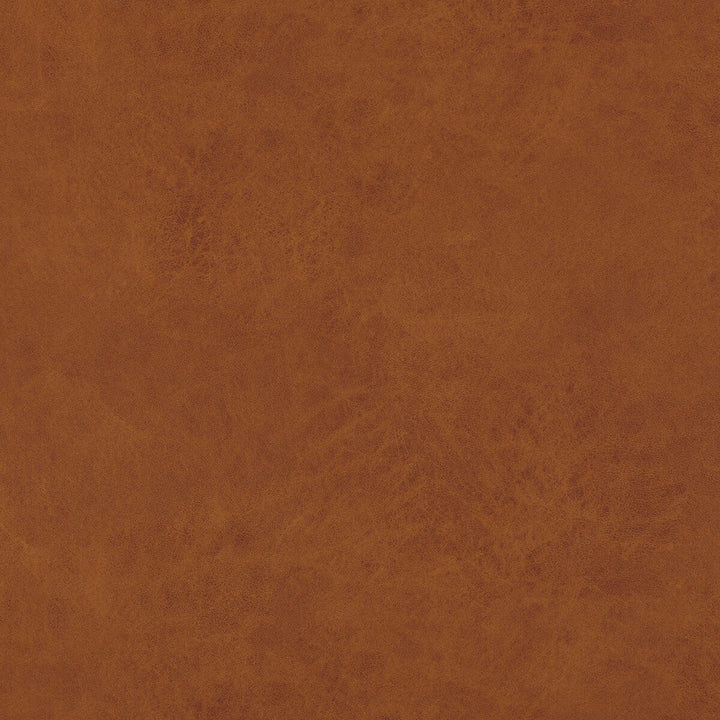 Lexham Amber by Baker Lifestyle Designer Fabric NOTEBOOKS POLYESTER - 100% China HEAVY Horizontal: and Vertical: 55.16 - Swanky Fabrics -