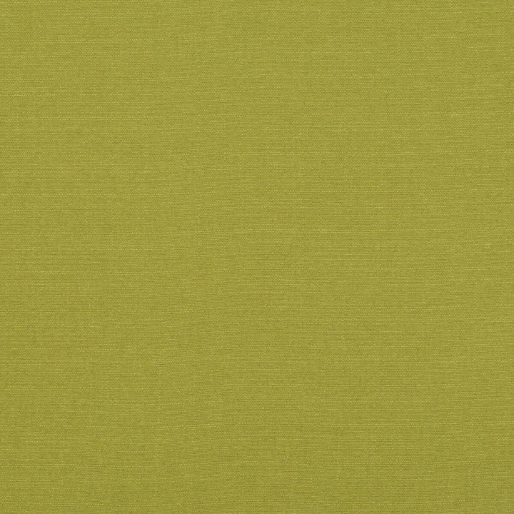 Lansdowne Lime by Baker Lifestyle Designer Fabric NOTEBOOKS POLYESTER - 100% China HEAVY Horizontal: and Vertical: 55.16 - Swanky Fabrics -