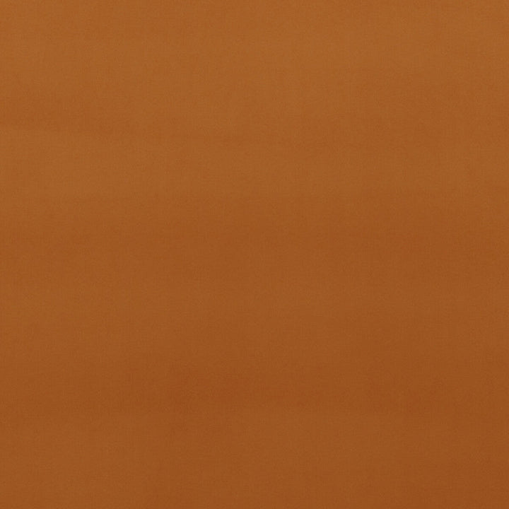 Montpellier Velvet Spice by Baker Lifestyle Fabric Baker Lifestyle Fabric Montpellier Velvet SpiceFabric CARNIVAL POLYESTER - 100% China </p><p>Repeat: H: , V: 55.16 - Fabric Carolina -